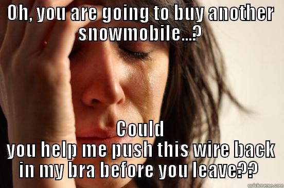 Bra wire poking my boob - OH, YOU ARE GOING TO BUY ANOTHER SNOWMOBILE...? COULD YOU HELP ME PUSH THIS WIRE BACK IN MY BRA BEFORE YOU LEAVE??  First World Problems