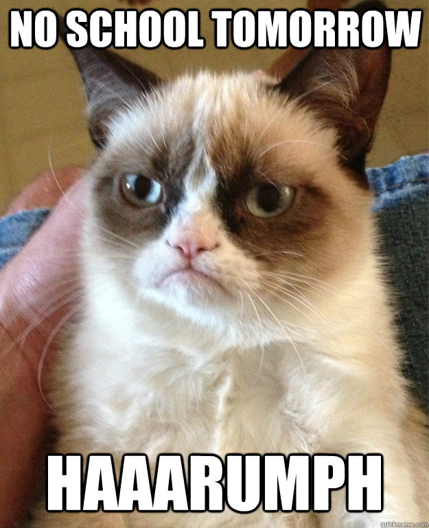 No school Tomorrow Haaarumph  Grumpy Cat