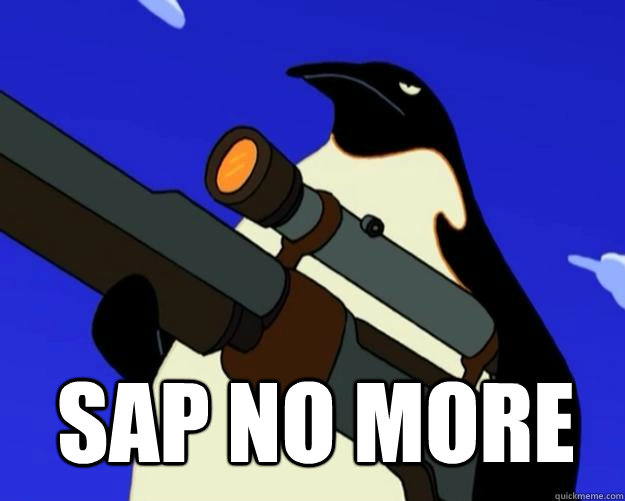 SAP NO MORE  