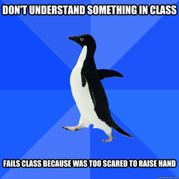 don't understand something in class   Fails class because was too scared to raise hand   Socially Awkward Penguin