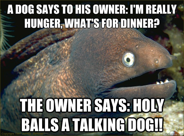 a dog says to his owner: i'm really hunger, what's for dinner? the owner says: HOLY BALLS A TALKING DOG!!  Bad Joke Eel