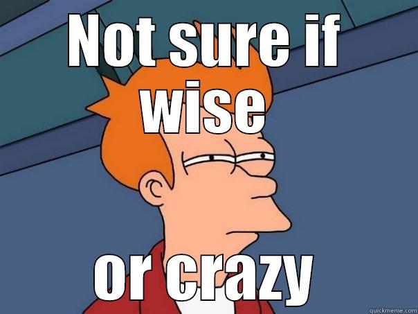 NOT SURE IF WISE OR CRAZY Futurama Fry