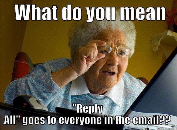email jokes -     WHAT DO YOU MEAN    