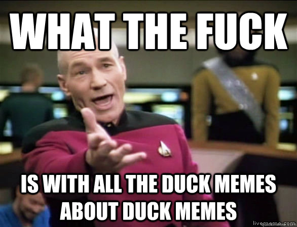 What the fuck Is with all the duck memes about duck memes  Annoyed Picard HD