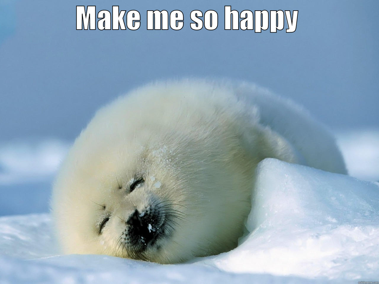 Happy seal - MAKE ME SO HAPPY  Misc