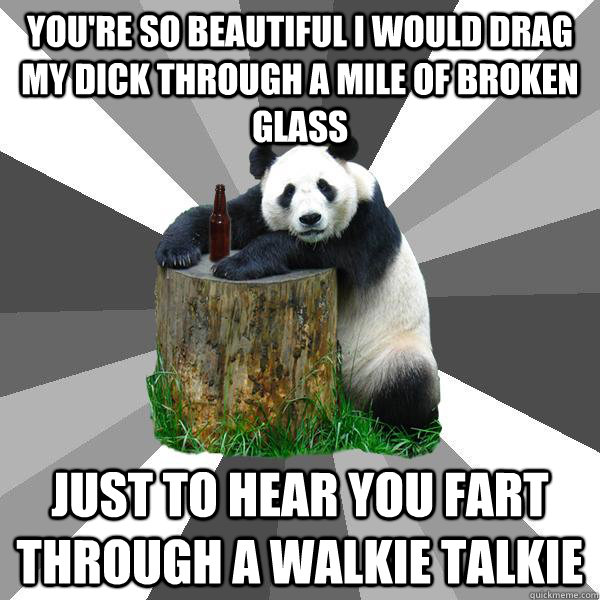 YOU'RE SO BEAUTIFUL I WOULD DRAG MY DICK THROUGH A MILE OF BROKEN GLASS JUST TO HEAR YOU FART THROUGH A WALKIE TALKIE - YOU'RE SO BEAUTIFUL I WOULD DRAG MY DICK THROUGH A MILE OF BROKEN GLASS JUST TO HEAR YOU FART THROUGH A WALKIE TALKIE  Pickup-Line Panda
