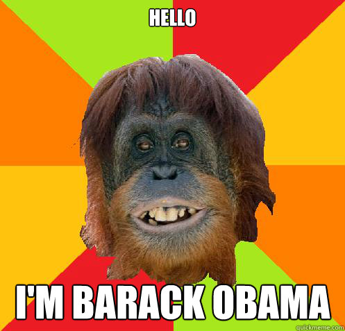 Hello I'm Barack Obama  Culturally Oblivious Orangutan