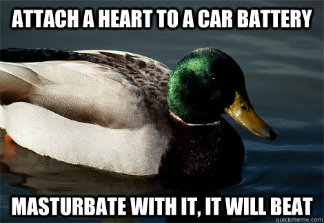 attach a heart to a car battery masturbate with it, it will beat - attach a heart to a car battery masturbate with it, it will beat  Actual Malicious Mallard