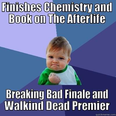 FINISHES CHEMISTRY AND BOOK ON THE AFTERLIFE BREAKING BAD FINALE AND WALKIND DEAD PREMIER Success Kid