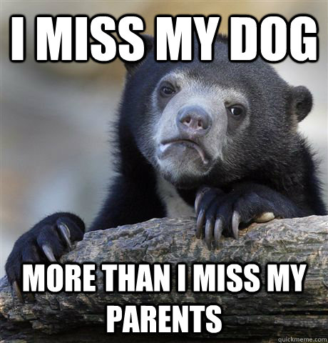I miss my dog More than I miss my parents  Confession Bear