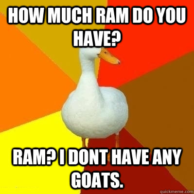 How much RAM do you have? RAM? I dont have any goats.   Technologically Impaired Duck