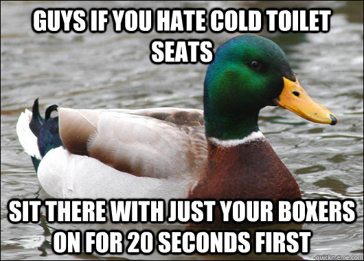 guys if you hate cold toilet seats sit there with just your boxers on for 20 seconds first - guys if you hate cold toilet seats sit there with just your boxers on for 20 seconds first  Actual Advice Mallard