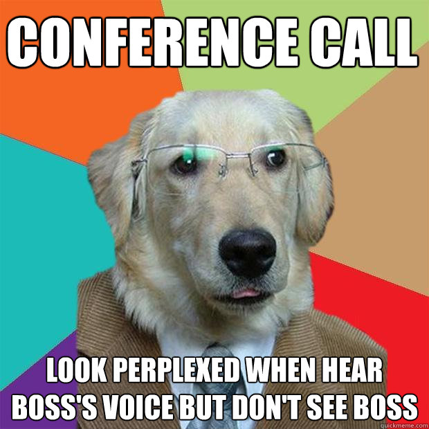 Conference call look perplexed when hear boss's voice but don't see boss - Conference call look perplexed when hear boss's voice but don't see boss  Business Dog