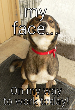 MY FACE... ON MY WAY TO WORK TODAY! Good Dog Greg