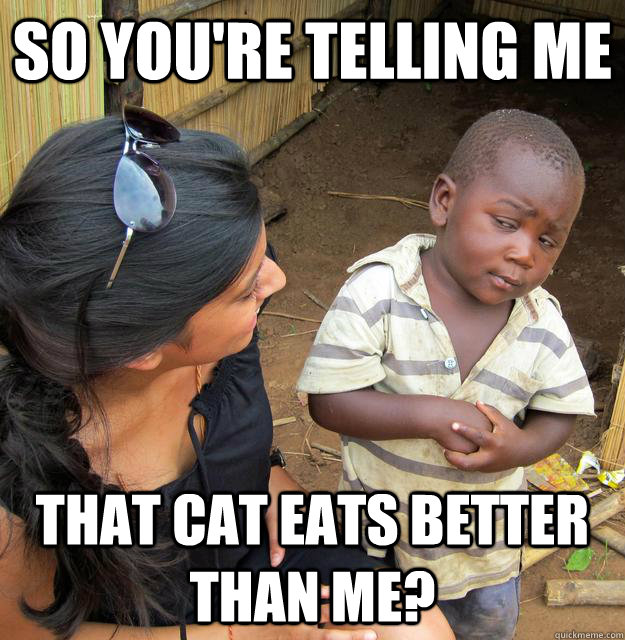 So you're telling me  that cat eats better than me? - So you're telling me  that cat eats better than me?  Skeptical 3 world kid