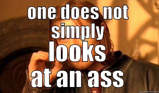 ONE DOES NOT SIMPLY LOOKS AT AN ASS Boromir
