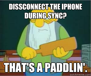 Dissconnect the iPhone during sync? That's a paddlin'.  Paddlin Jasper