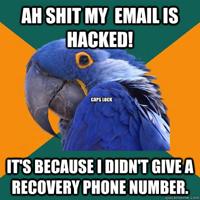 Ah Shit my  Email is hacked! It's because I didn't give a recovery phone number. caps lock  Paranoid Parrot