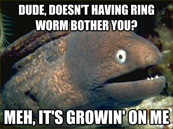 Dude, doesn't having ring worm bother you? Meh, it's growin' on me  Bad Joke Eel