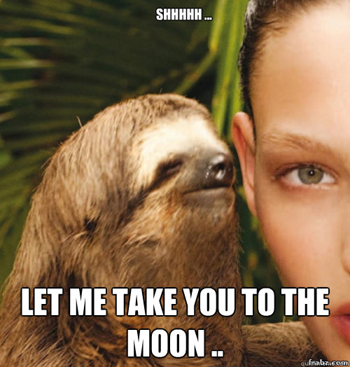 SHHHHH ... LET ME TAKE YOU TO THE MOON .. - SHHHHH ... LET ME TAKE YOU TO THE MOON ..  rape sloth