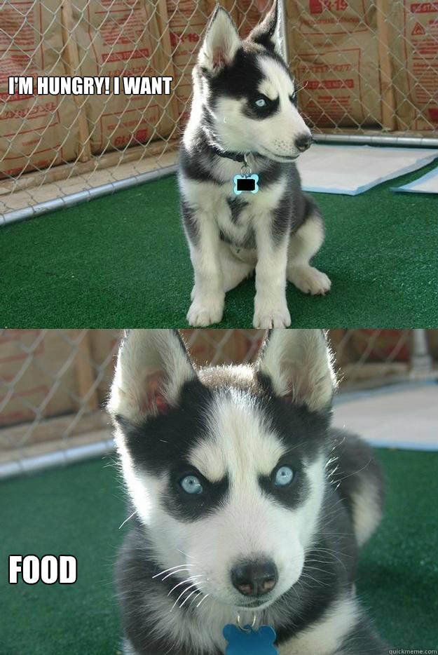 I'm Hungry! i want food  Insanity puppy