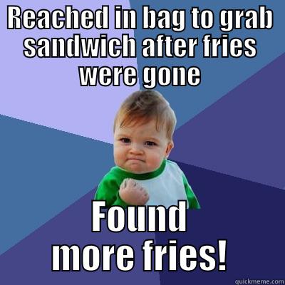 REACHED IN BAG TO GRAB SANDWICH AFTER FRIES WERE GONE FOUND MORE FRIES! Success Kid