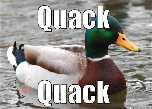 QUACK QUACK Actual Advice Mallard