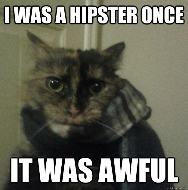 i was a hipster once it was awful  Hipster Cat