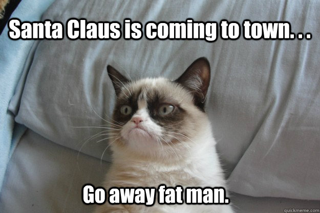 Santa Claus is coming to town. . . Go away fat man.  tard grumpy cat