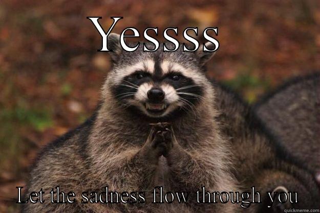Dgdxf dd ffff - YESSSS LET THE SADNESS FLOW THROUGH YOU Evil Plotting Raccoon