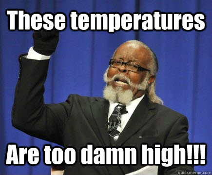These temperatures Are too damn high!!!  Too Damn High
