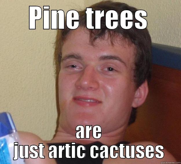 PINE TREES ARE JUST ARTIC CACTUSES 10 Guy
