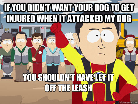 If you didn't want your dog to get injured when it attacked my dog you shouldn't have let it 
off the leash  Captain Hindsight