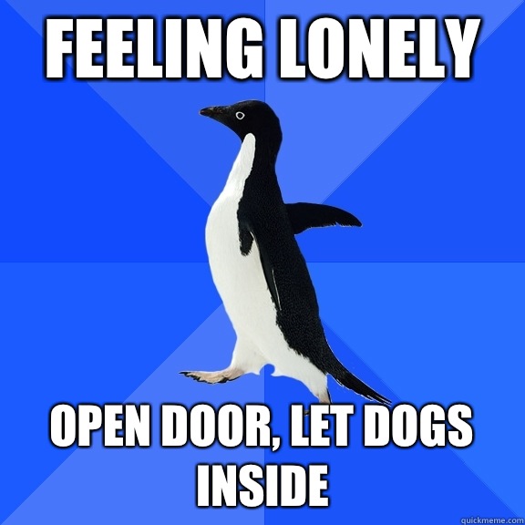 Feeling lonely Open door, let dogs inside  Socially Awkward Penguin