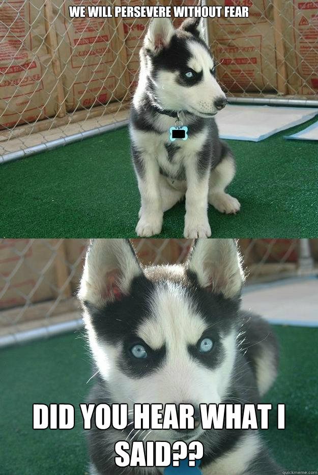 WE WILL PERSEVERE WITHOUT FEAR DID YOU HEAR WHAT I SAID?? - WE WILL PERSEVERE WITHOUT FEAR DID YOU HEAR WHAT I SAID??  Insanity puppy