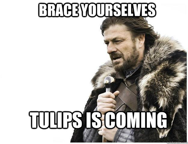 Brace yourselves Tulips is coming  Imminent Ned