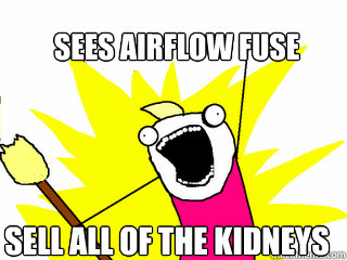 SEES AIRFLOW fuse SELL ALL OF THE KIDNEYS   All The Things