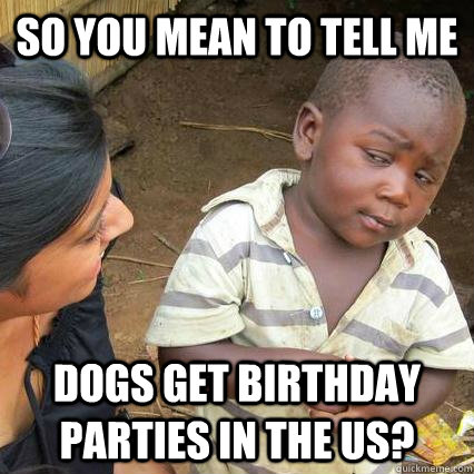 So you mean to tell me Dogs get birthday parties in the US? - So you mean to tell me Dogs get birthday parties in the US?  Skeptical African Baby