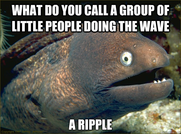 What do you call a group of little people doing the wave a ripple  Bad Joke Eel