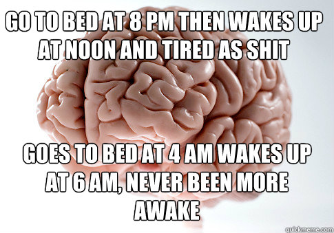 goes to bed at 4 am wakes up at 6 am, never been more awake go to bed at 8 pm then wakes up at noon and tired as shit  Scumbag Brain