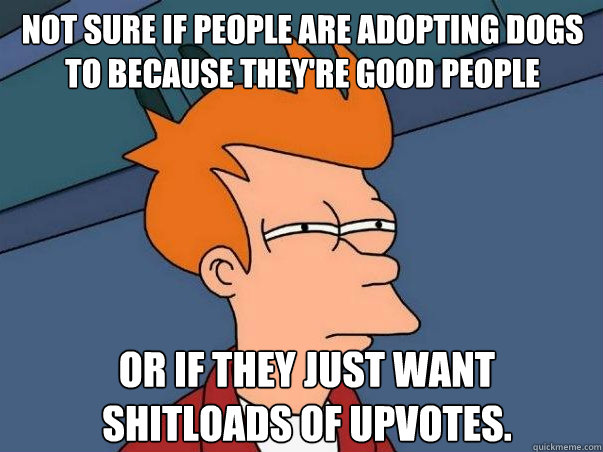 Not sure if people are adopting dogs to because they're good people Or if they just want shitloads of upvotes.  Colorblind Futurama Fry