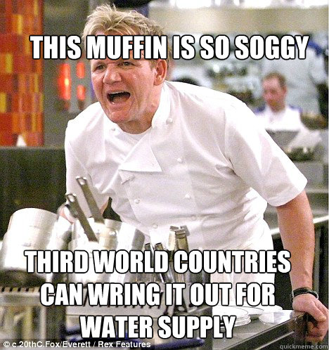 THIRD WORLD COUNTRIES CAN WRING IT OUT FOR WATER SUPPLY THIS MUFFIN IS SO SOGGY - THIRD WORLD COUNTRIES CAN WRING IT OUT FOR WATER SUPPLY THIS MUFFIN IS SO SOGGY  Ramsey