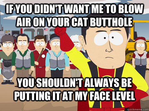 If you didn't want me to blow air on your cat butthole You shouldn't always be putting it at my face level  Captian Hindsight