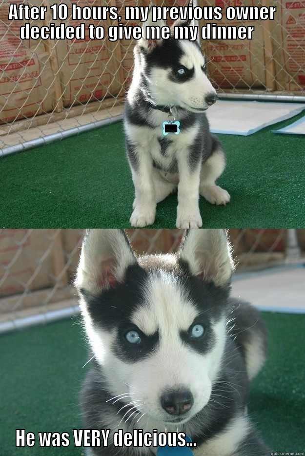 AFTER 10 HOURS, MY PREVIOUS OWNER      DECIDED TO GIVE ME MY DINNER         HE WAS VERY DELICIOUS...                            Insanity puppy