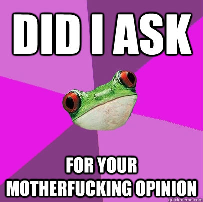 Did I ask For your motherfucking opinion  Foul Bachelorette Frog