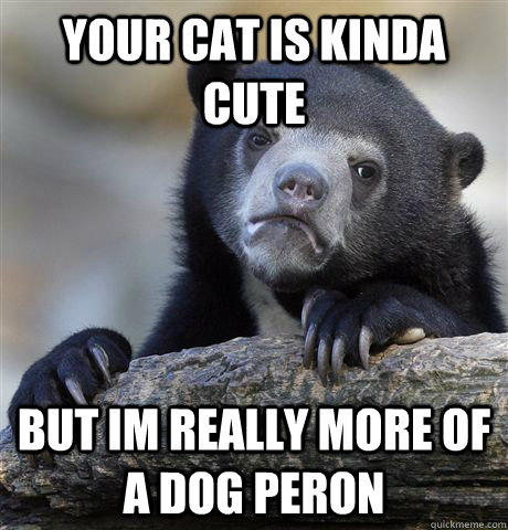 Your cat is kinda cute  but im really more of a dog peron  Confession Bear
