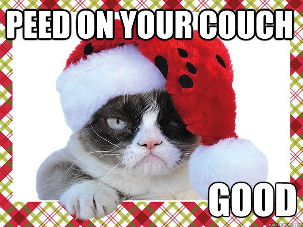 peed on your couch good  A Grumpy Cat Christmas
