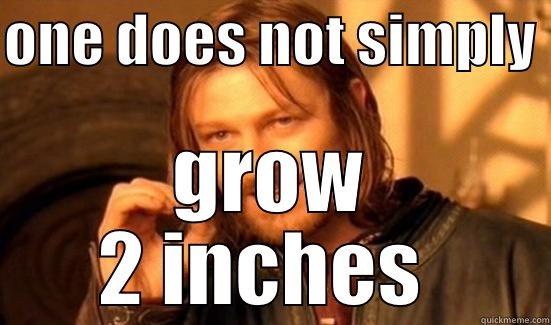 ONE DOES NOT SIMPLY  GROW 2 INCHES  Boromir