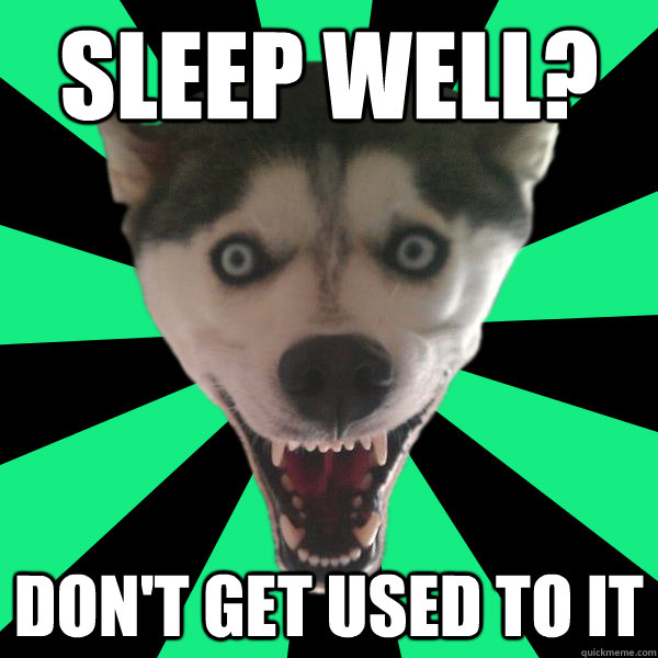 Sleep well? Don't get used to it - Sleep well? Don't get used to it  Terror dog