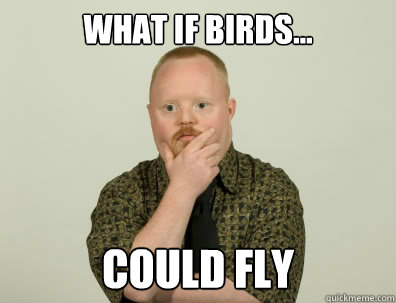 what if birds... could fly - what if birds... could fly  Pondering Retard